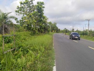 Jl. Trans dekat kameloh baru UK. 150x350 atau 5.2HA  SHM (Ahmad Dody)