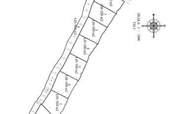 Dijual 7 kavling 300 m2 cemagi