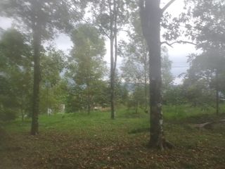 Dijual Tanah Kebun Singaraja Akses 2 Mobil