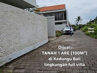 Jual Tanah 1are kawasan villa di Bengkel area Kedungu,Tanahlot dekat Canggu
