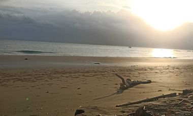 TANAH LOS PANTAI EXOTIC 1 HEKTAR DI MELAYA  JEMBRANA BALI