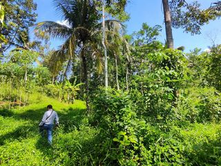 Tanah atau lahan di Parakan Honje Bantarkalong Tasikmalaya