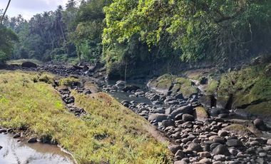 Dijual tanah los sungai dengan view sawah di tabanan bali