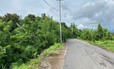 TANAH 25 ARE PINGGIR JALAN DI PEH KALIAKAH ZONA INDUSTRI