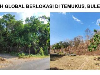 Tanah Luas + Murah Cocok Untuk Perumahan/Investasi Di Temukus Buleleng