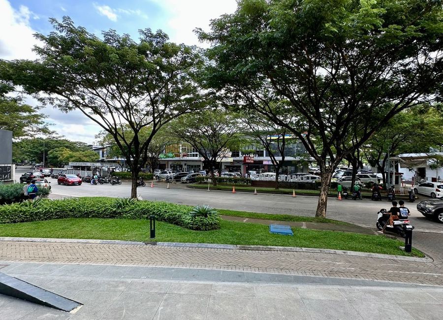 place photo 16