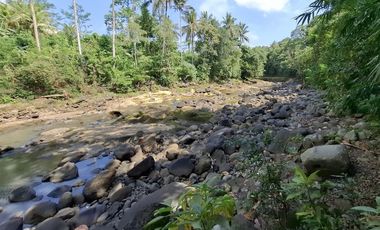 Dijual tanah los sungai besar di tabanan