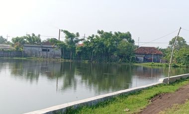 Tambak produktif Banjarpanji