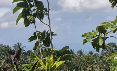 Dijual tanah murah di daerah pariwisata