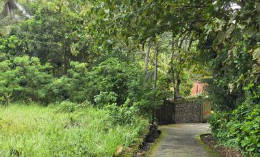 Dijual tanah luasan kecil berdampingan dengan villa komersil