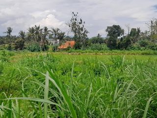 Tanah Murah Permata Pering Blahbatuh Gianyar Dekat Pantai Saba Ketewel