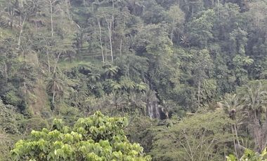 Dijual tanah los sungai besar dan view air terjun, gunung dan sawah