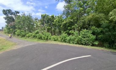Dijual tanah dekat pantai di selemadeg tabanan