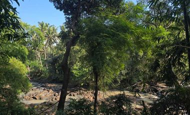 Dijual tanah los sungai di selamadeg tabanan