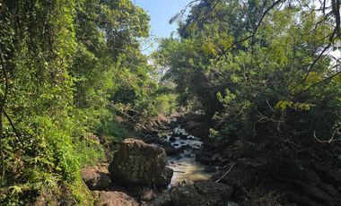 Dijual tanah los sungai luasin kecil di selemadeg