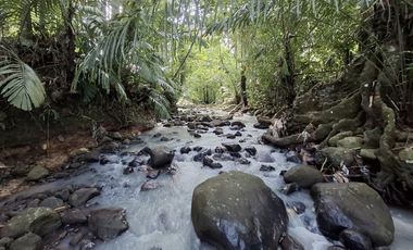 Dijual tanah kebun los sungai dan view sawah terasering