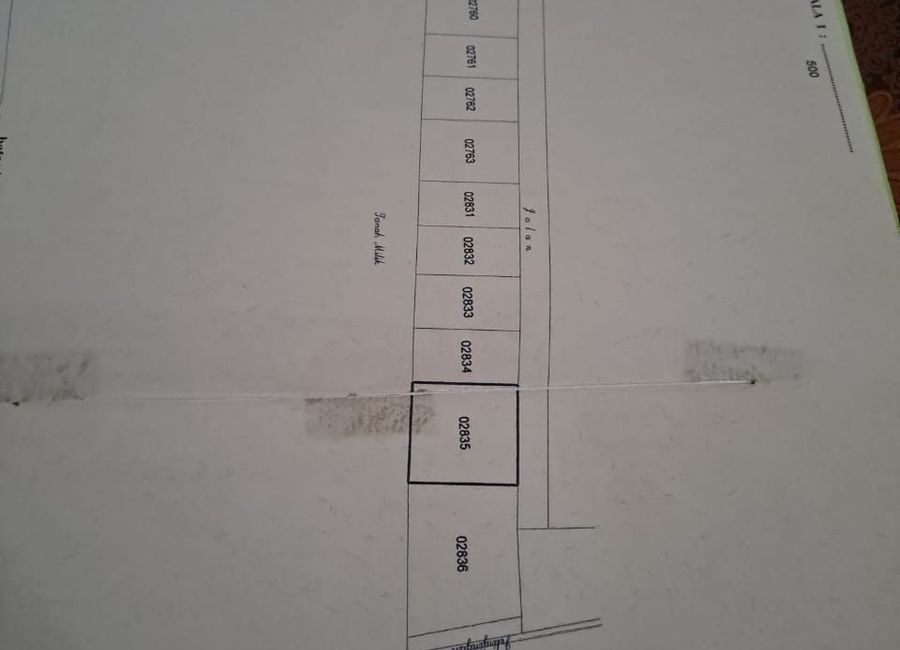 place photo 17