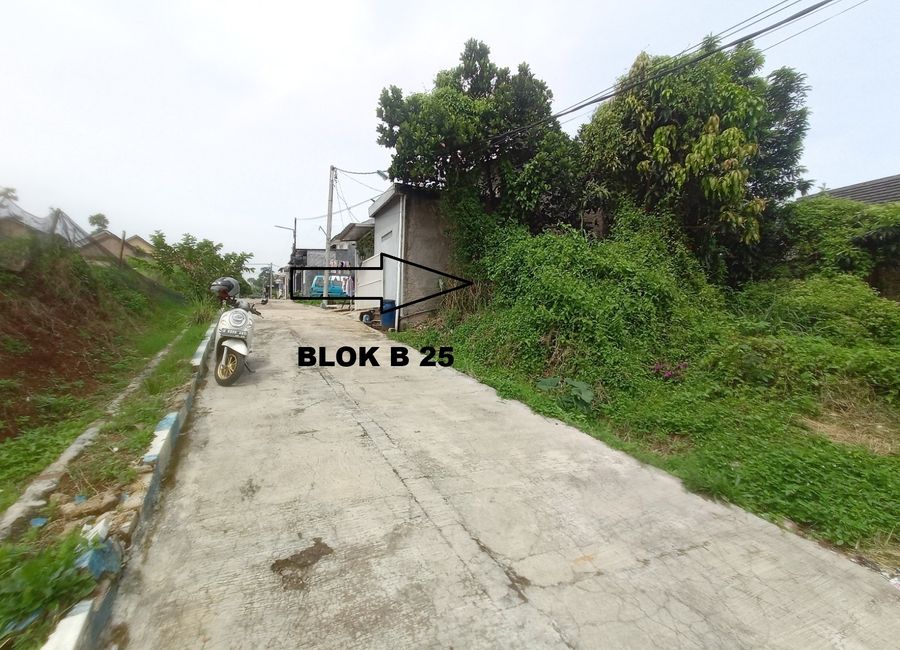 place photo 13