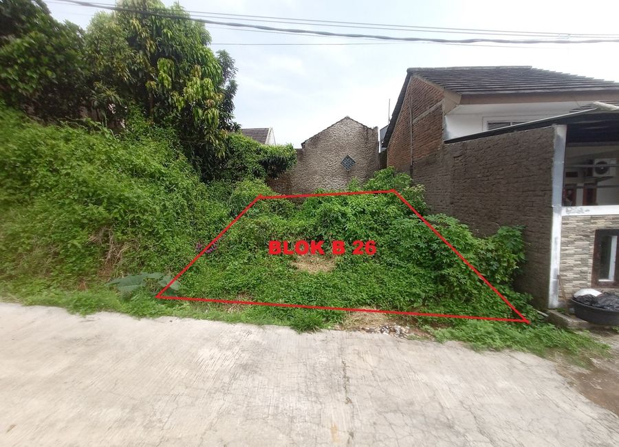 place photo 15