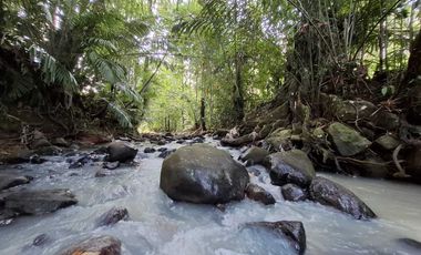 Dijual tanah cantik los sungai dan view sawah di tabanan bali