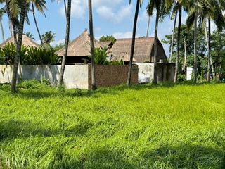 Tanah Strategis di Ubud 500m2 Sudah Tembok Keliling