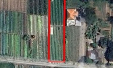Tanah kebun zona residen cocok untuk investasi dan billa