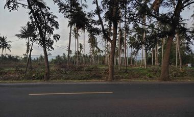 TANAH PINGGIR JALAN PROVINSI DENPASAR GILIMANUK ZONA INDUSTRI