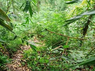 Tanah Lokasi Dekat Air Panas Belulang Penebel
