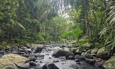 Dijual tanah kebun durian dengan sungai bebatuan di tabanan bali