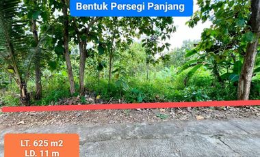 Jual tanah murah pekarangan di Semanu Gunungkidul strategis