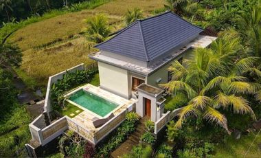 Villa Tropis View Hutan di Tampaksiring Ubud Area