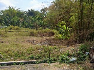 TANAH LUAS 118 JALAN JAWA JEMBER