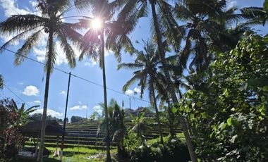 Dijual tanah kebun los sungai view sawah akses jalan hotmixs