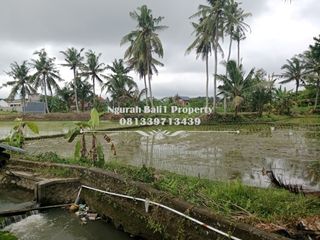 Dijual Tanah Premium Murah Luas 30  Are di Ubud Gianyar Bali