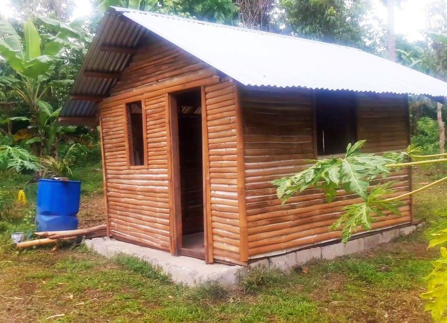 Concepcion, San Pedro, San Pablo, Laguna image 3