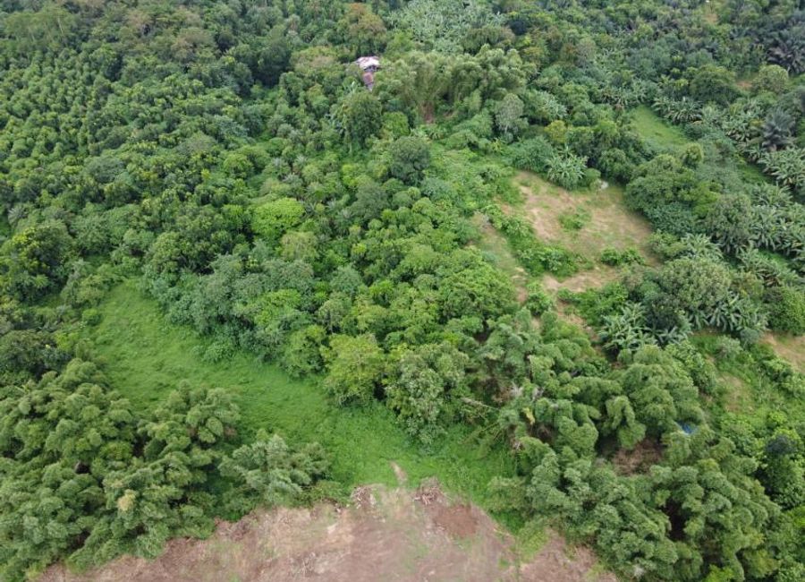 Lagundi, Morong, Rizal