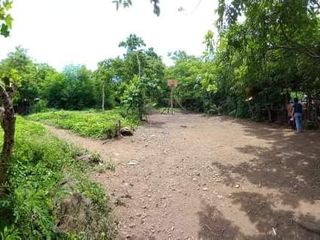 4,000sqm Commercial or Residential Lot for Sale in Binangonan, Rizal