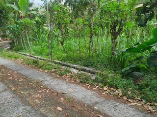Tanah Murah Girikerto Turi Sleman Yogyakarta