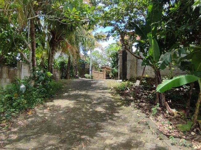 place photo 9