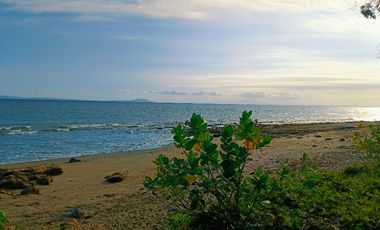 Tanah Los Pantai 1.13 hektar di Jembrana Bali
