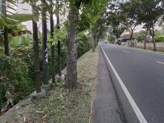 Tanah kontur datar di kabupaten jembrana bali