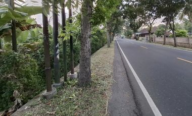 Tanah kontur datar di kabupaten jembrana bali