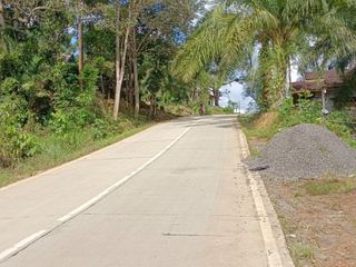 Bismillah Tanah Milik Sendiri SHM 2645 M² Jalan Besar IKN, bisa AJB