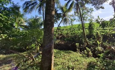 Dijual tanah view sawah dan laut di tabanan bali