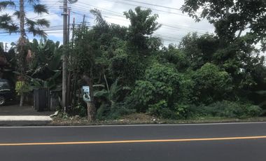 Tanah cantik pinggir jalan raya Denpasar Gilimanuk