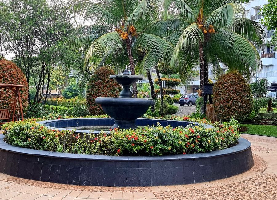 place photo 15