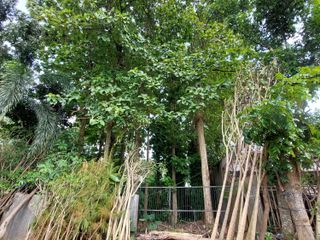 DIJUAL TANAH KAVLING EKSKLUSIF MURAH 250 m2