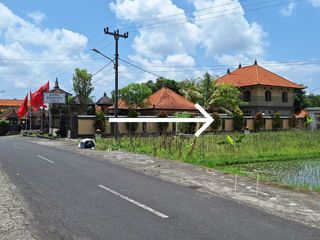Dijual Tanah Pinggir Jln. Utama Ubud 700 m2 Cocok Usaha dan Vill