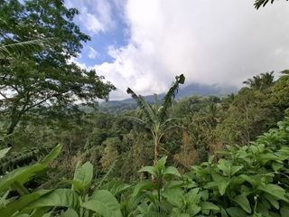 Dijual tanah view gunung,lembah,sunset dan los sungai zona pink