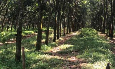 Tanah Zona Industri 57 Ha, Dekat pusat Kota Purwakarta.